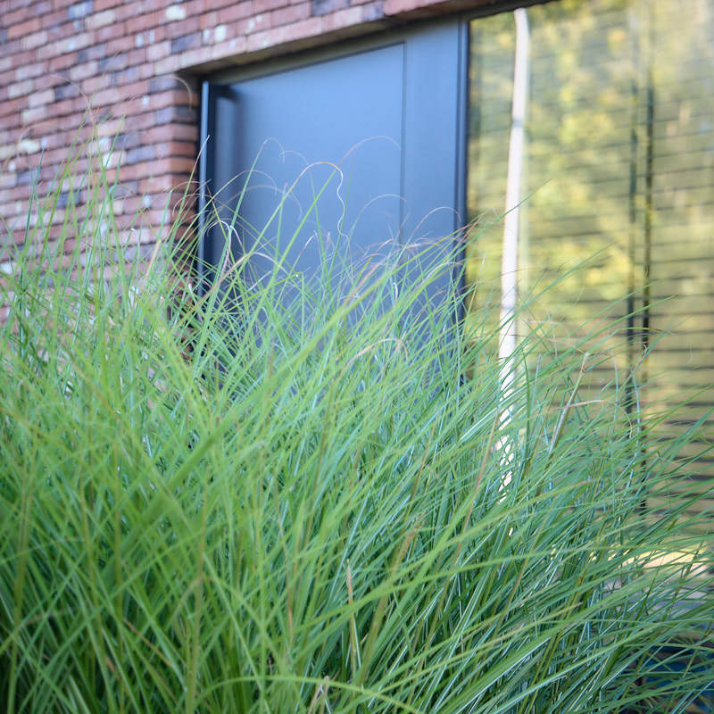Moderne BEN-woning met 3 slpk's en zongerichte tuin