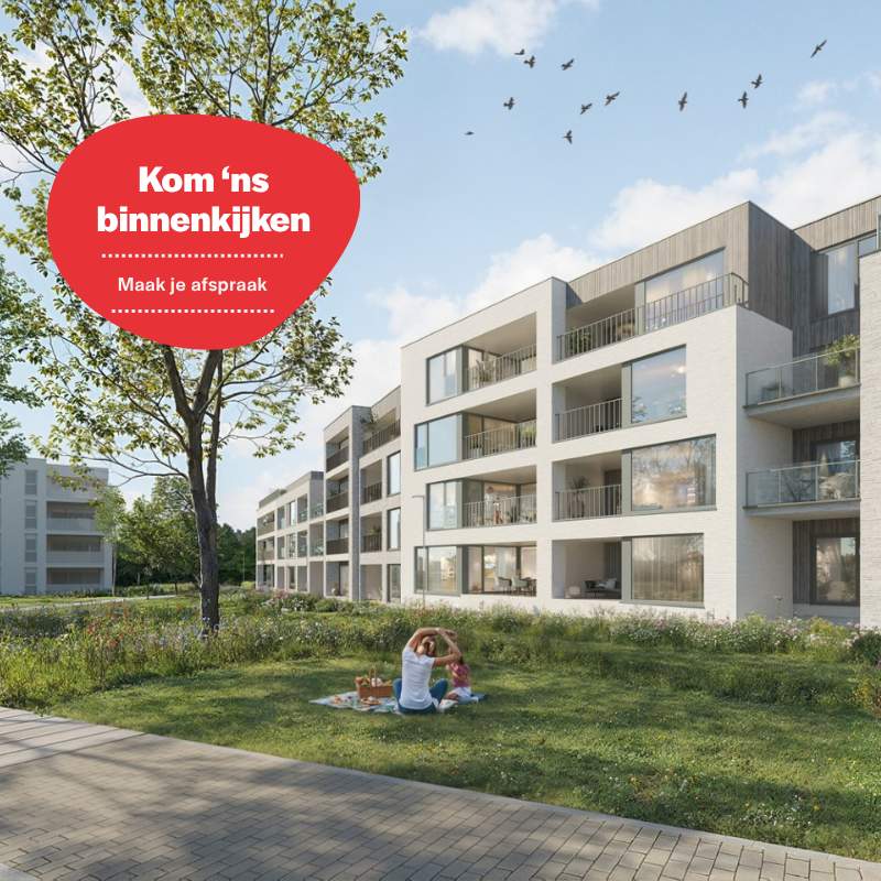 Modern & energiezuinig wonen in Hallaar
