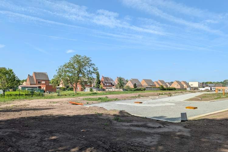 Nieuwbouw, appartementen en bouwgrond Westerlo